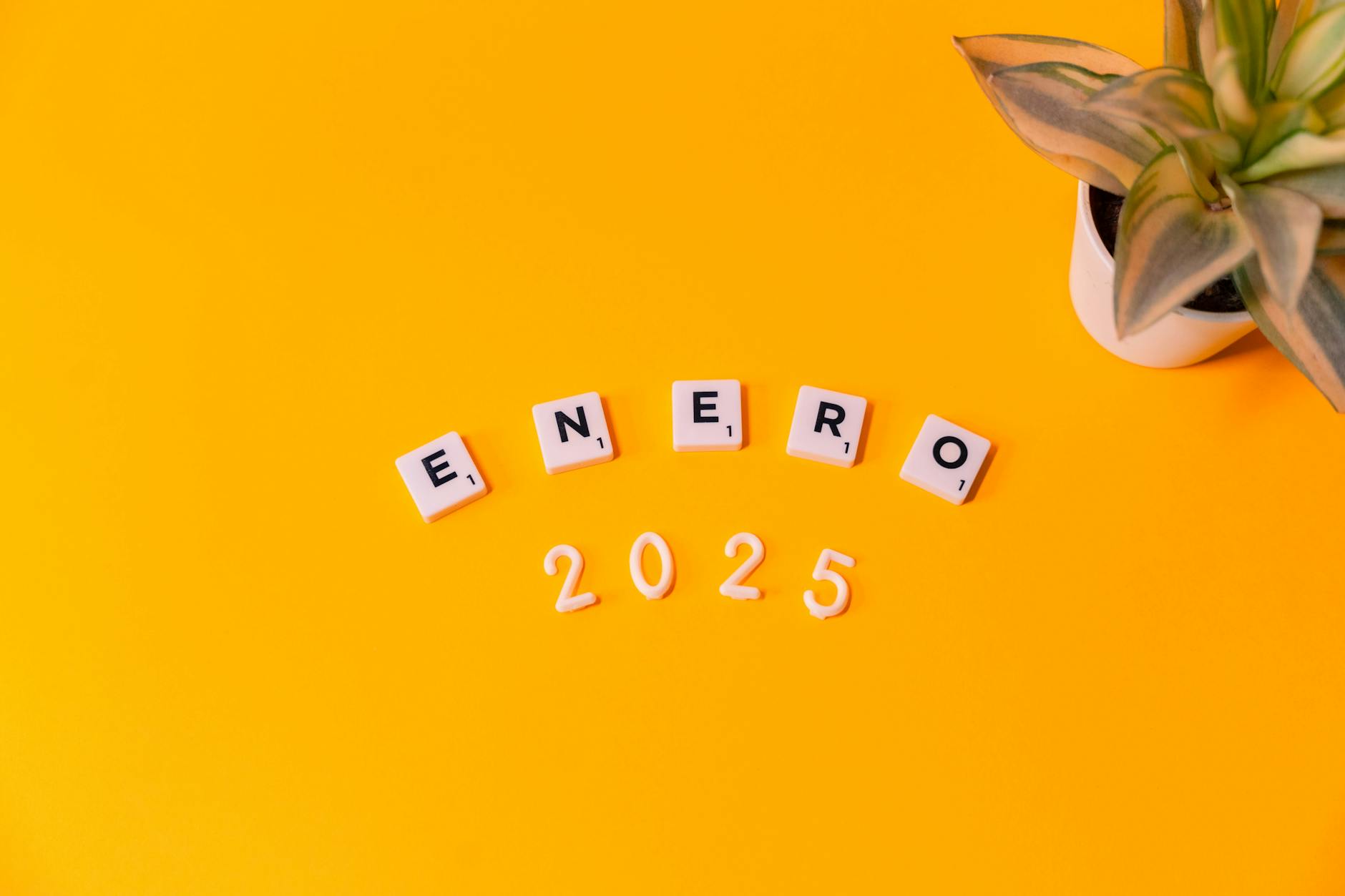 Grafika przedstawiająca budżet Ciechanowa 2025, z widocznymi głównymi kategoriami dochodów i wydatków.